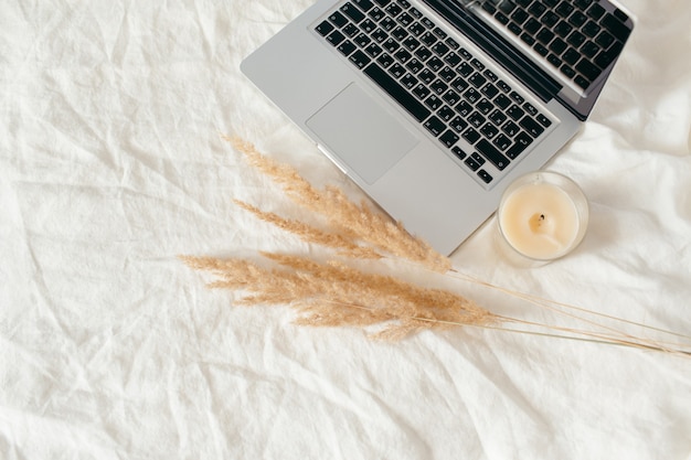 Laptop, beige reeds agains pampas plumen, candle on linen white bed. Minimal, stylish, trend concept. Autumn, fall, composition. Flat lay, top view, copy space.