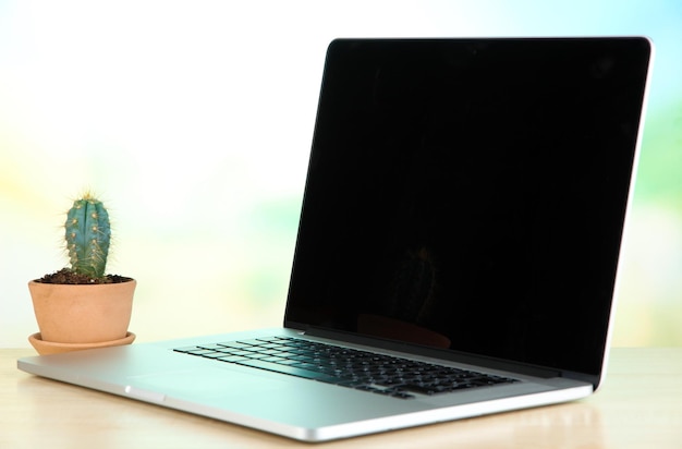 Laptop and cactus in flowerpot on wooden table