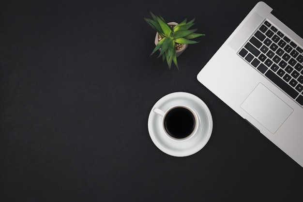 Laptop coffee cup and office plant on black background top view