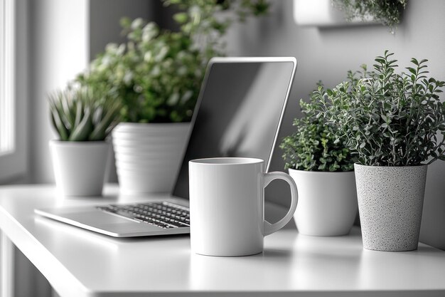 Photo laptop coffee mug and plants on a white desk