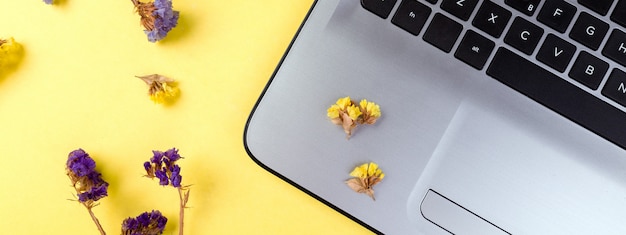 Laptop keyboard and flowers on yellow surface