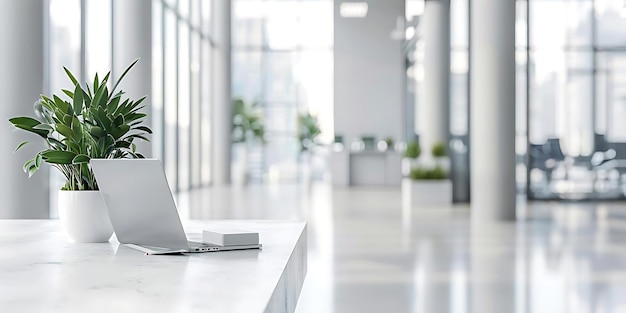 Laptop and Plant on a White Marble Desk in a Modern Office Illustration