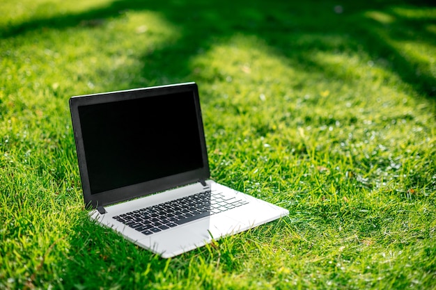 Laptop with blank screen on green lawn. Copy space