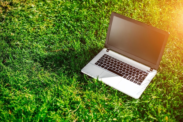 Laptop with blank screen on green lawn