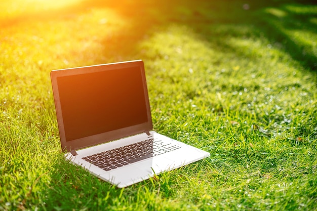 Laptop with blank screen on green lawn