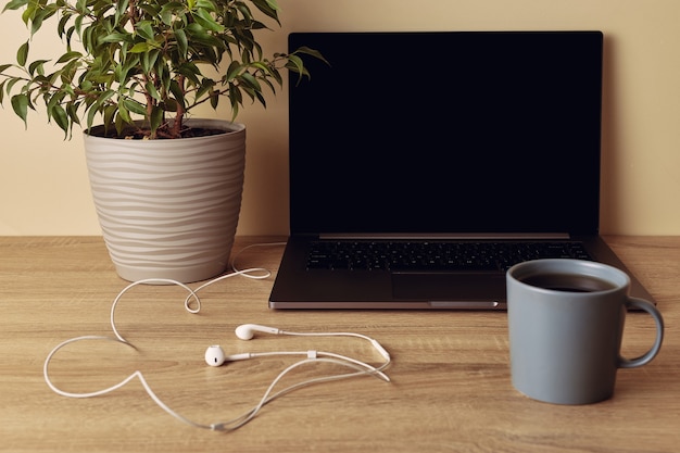 Laptop with blank screen, potted plant, mug and white cable headphones.