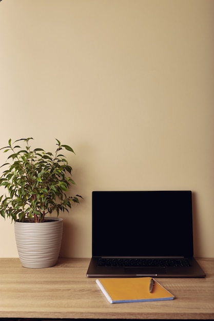 Laptop with blank screen, potted plant and yellow notepad with pen.