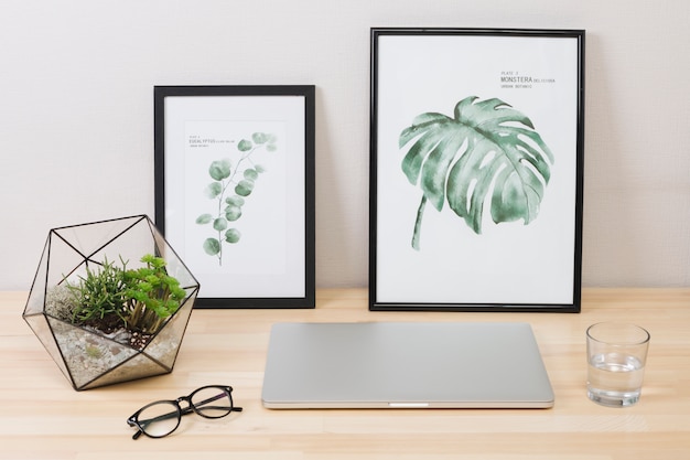 Laptop with pictures and plant on table