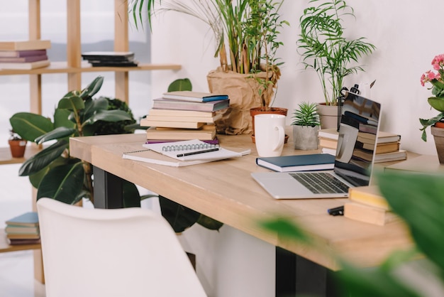 Laptop on wooden table with potted plants in workspace