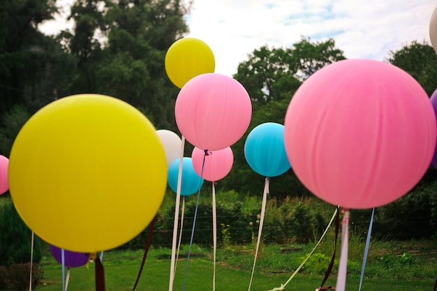 Large balloons of different colors for the holiday