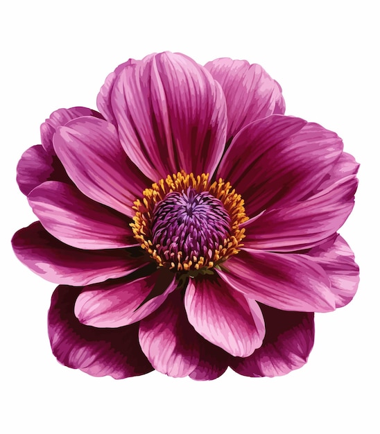 Large Beautiful gorgeous purple flower