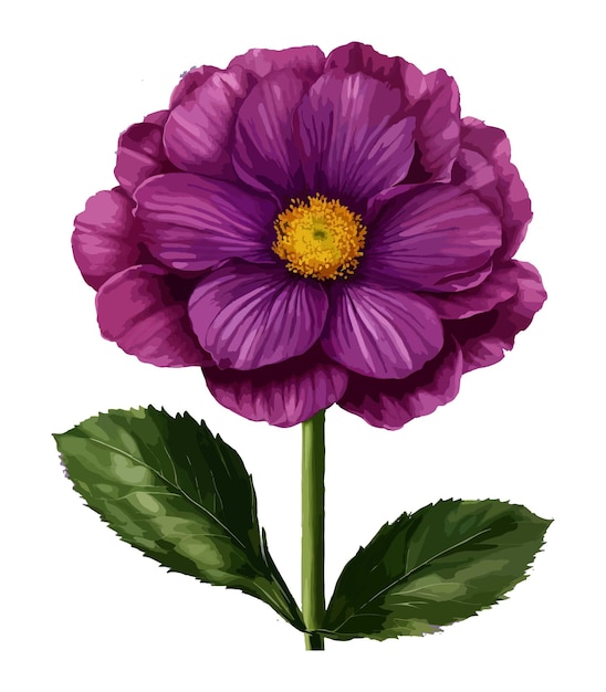 Large Beautiful gorgeous purple flower