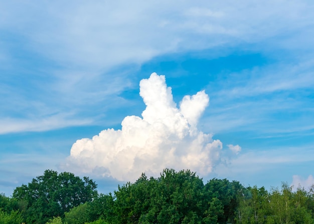 A large beautiful white cloud in the shape of a sign of victory V