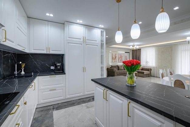 Large black and white expensive welldesigned modern kitchen in studio interior black marble countert