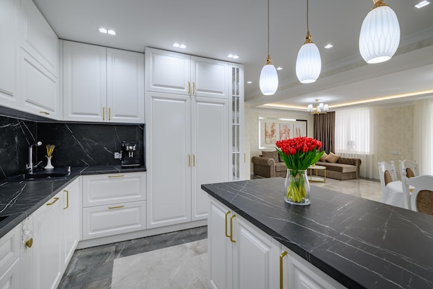 Large black and white expensive welldesigned modern kitchen in studio interior black marble countert