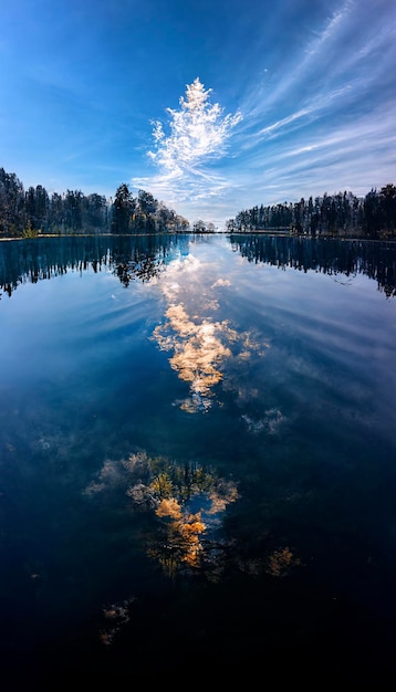 Large body of water surrounded by trees generative ai