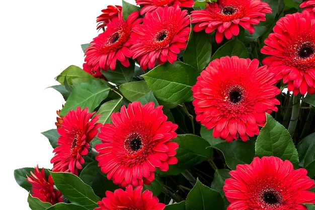 Large bouquet of red gerberas