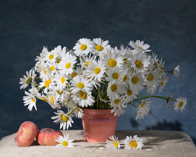 A large bouquet of white daisies in a pink bucket and two peaches Blue background Still life