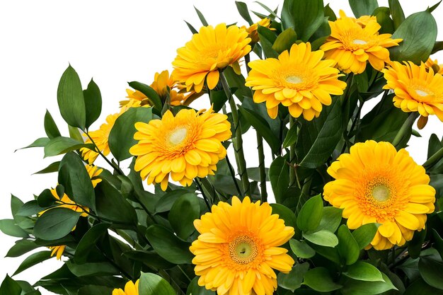 Large bouquet of yellow gerberas