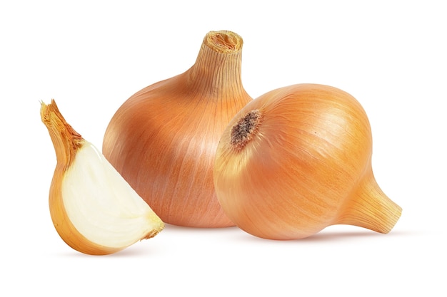 large bulb onion