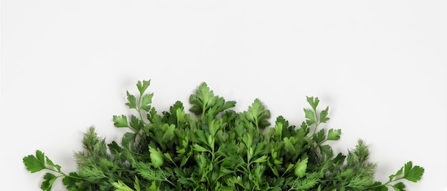 A large bunch of fresh organic green parsley dill on a white background