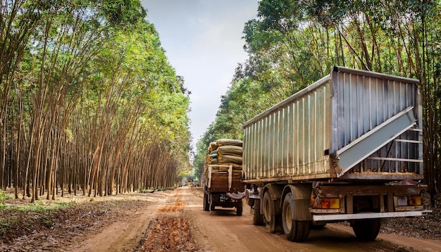 Photo large containers of latex loaded onto truck for transport