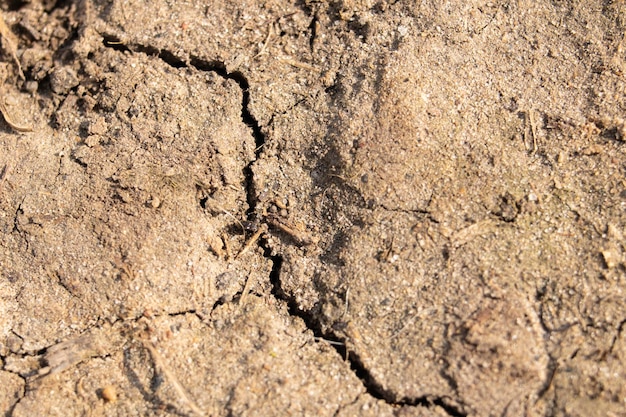 Large cracks on dry ground close up