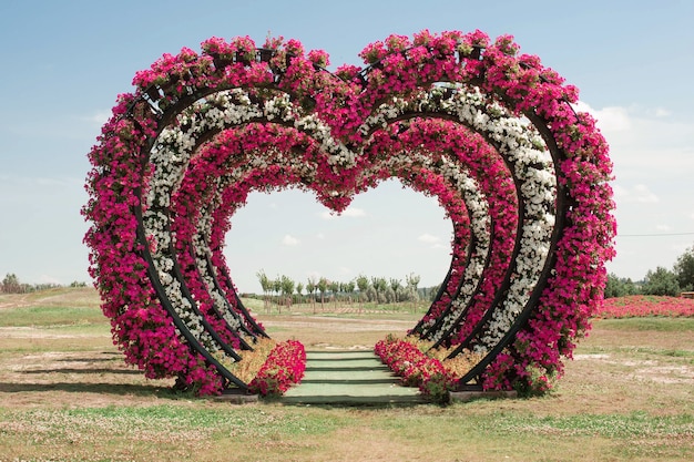 Large decorative wedding arches made in form of heart of flowers love in field for visiting wedding ceremony.