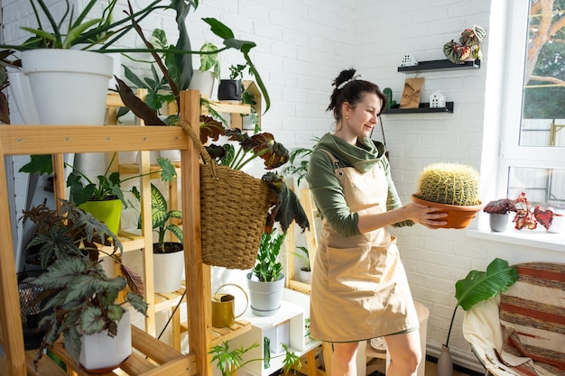 Large echinocactus Gruzoni in the hands of a woman in the interior of a green house with shelving collections of domestic plants Home crop production plant breeder admiring a cactus in a pot