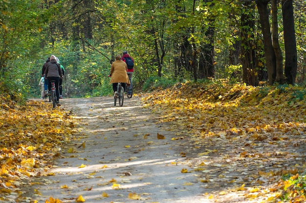 A large family rides bicycles along quiet paths in the autumn forest Spend time with your family ride a bike in ecologically clean places Autumn forest and colorful foliage