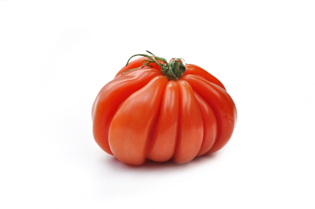 Large-fruited beef tomato