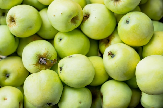 Large group of bright green applesjuicy and selected fruits Antioxidant fruits fresh tasty organic apples background