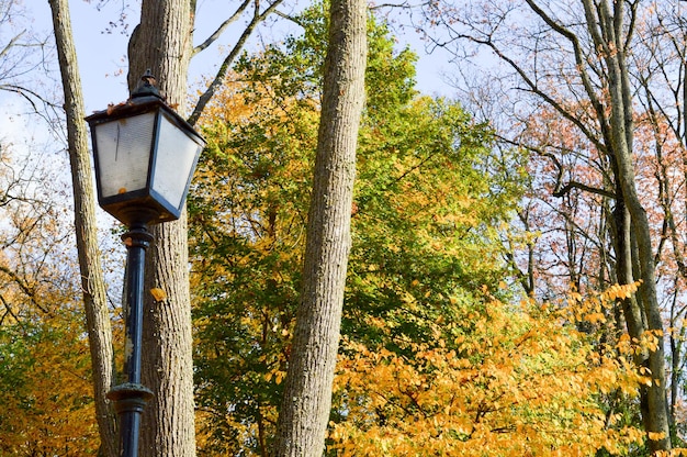 A large iron metal black high street lamp lighting in the park on a background of autumn yellow