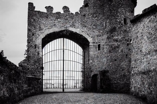 Large metal gate medieval stone castle door in black and white