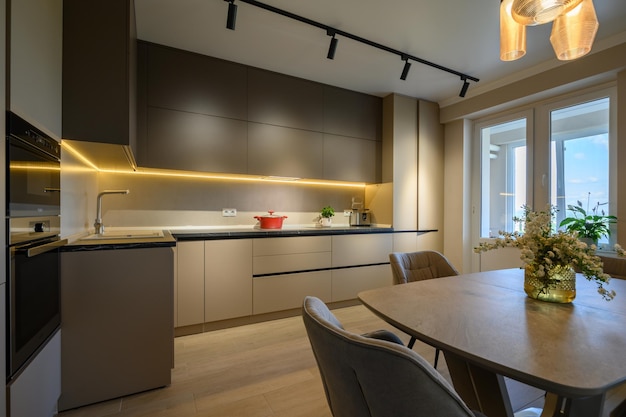 Large modern grey luxurious kitchen and dining room in studio apartment