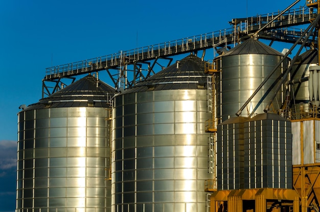 A large modern plant for the storage and processing of grain crops view of the granary on a sunny day Large iron barrels of grain against the sky End of harvest season