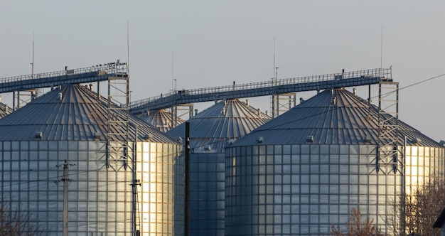 Photo a large modern plant for the storage and processing of grain crops view of the granary on a sunny day large iron barrels of grain silver silos on agro manufacturing plant for processing and drying