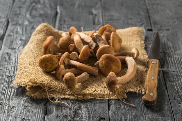 A large number of forest autumn mushrooms on a piece of burlap on a black wooden table. Forest mushrooms on the table. Vegetarian cuisine.