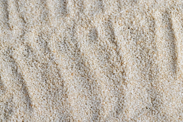 A large number of white dried sesame seeds