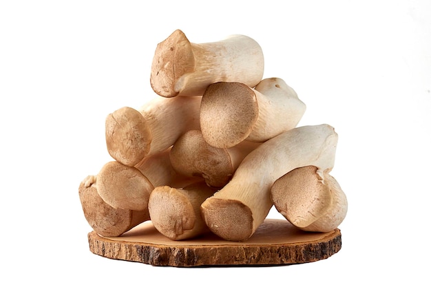 Large piles of eringi mushrooms Pleurotus eryngii stacked isolated on a white background