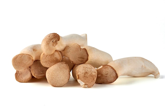 Large piles of eringi mushrooms Pleurotus eryngii stacked isolated on a white background