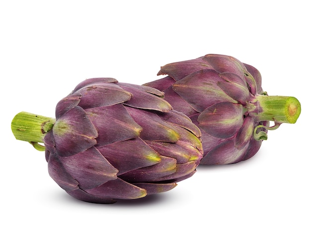 large and ripe artichoke