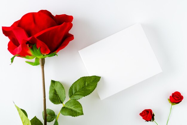 Large rose with white box on white background