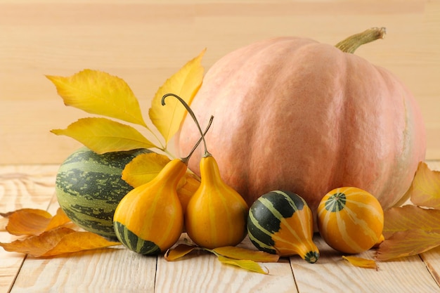 Large and small decorative yellow pumpkins and autumn yellow leaves on a natural wooden table autumn composition