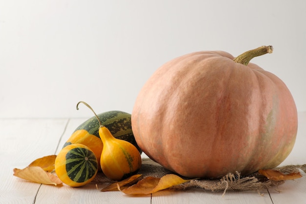 Large and small decorative yellow pumpkins and autumn yellow leaves on a white wooden table autumn composition