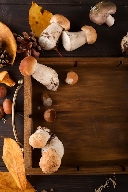 Large and small forest mushrooms in wooden box on a dark background  vegetarian food