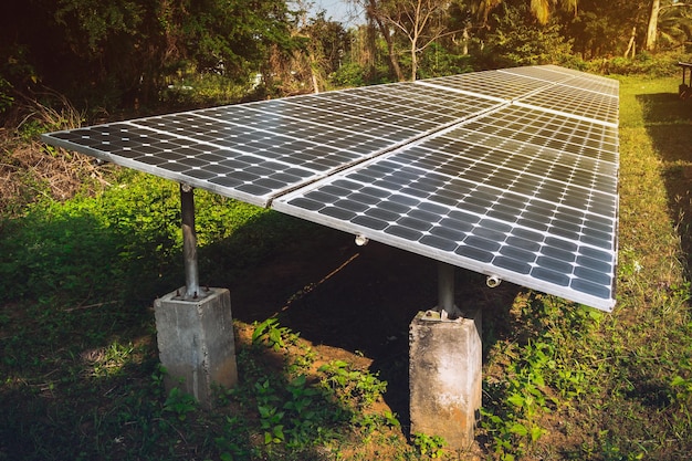 Large solar panels in the rainforest