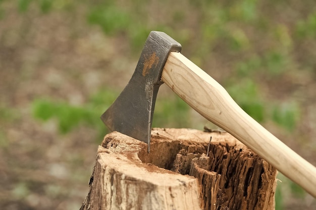 Large splitting axe with sharp metal head and wooden handle in stump on natural landscape outdoors tool