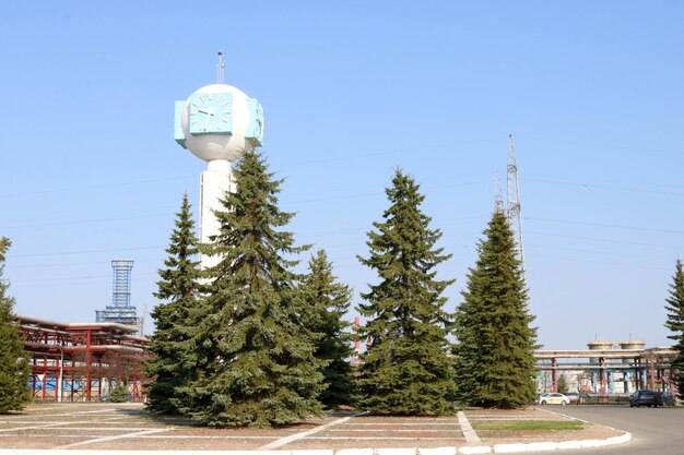 Large tall stone concrete clocks with a blue dial next to the large green Christmas trees