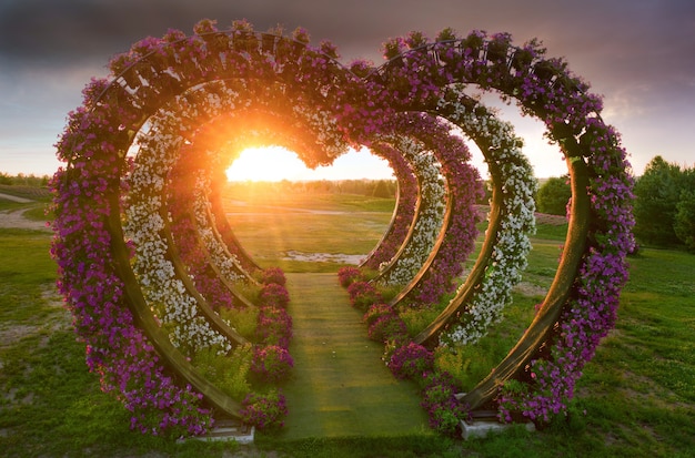 Large tiered flower bed with heart-shaped petunias at sunset in the park.